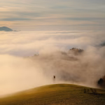 Navigating Cloud vs. On-Premise: Which Server Management is Right for You?