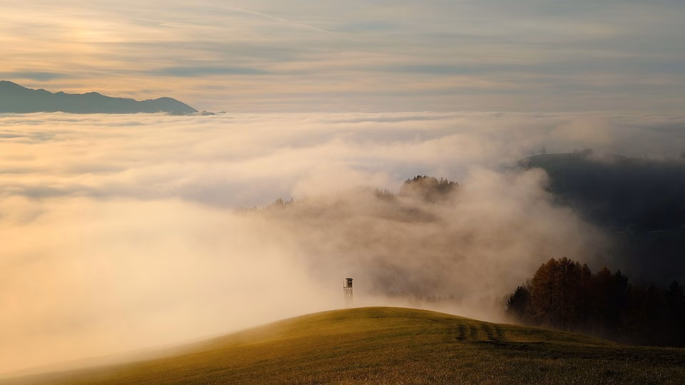 Navigating Cloud vs. On-Premise: Which Server Management is Right for You?