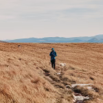 How to Use ProofHub for Remote Team Management