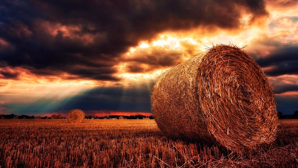 Navigating the Cloud: Trends in Software as a Service (SaaS) You Can’t Ignore Navigating the Cloud: Trends in Software as a Service (SaaS) You Can’t Ignore