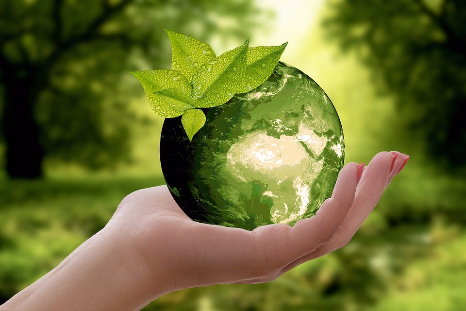 6G and Sustainability: The Green Revolution in Wireless Technology