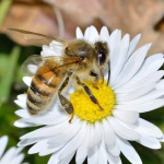 APIs in Focus: Ensuring Safe Transactions in Your CRM Ecosystem