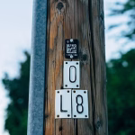 QR Codes That Captivate: How Custom Designs Drive Customer Loyalty