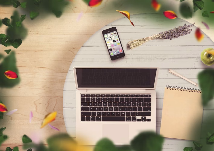 The Freelance Playbook: Tools and Techniques for Business Management