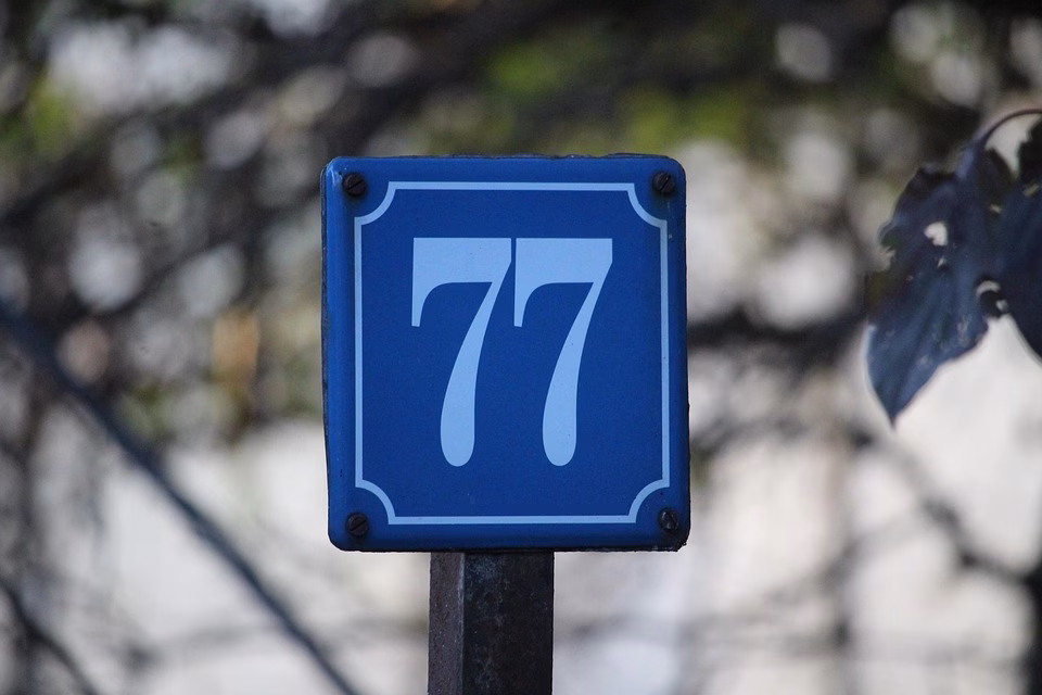 Navigating the Numbers: Understanding Your Affiliate Sales Data