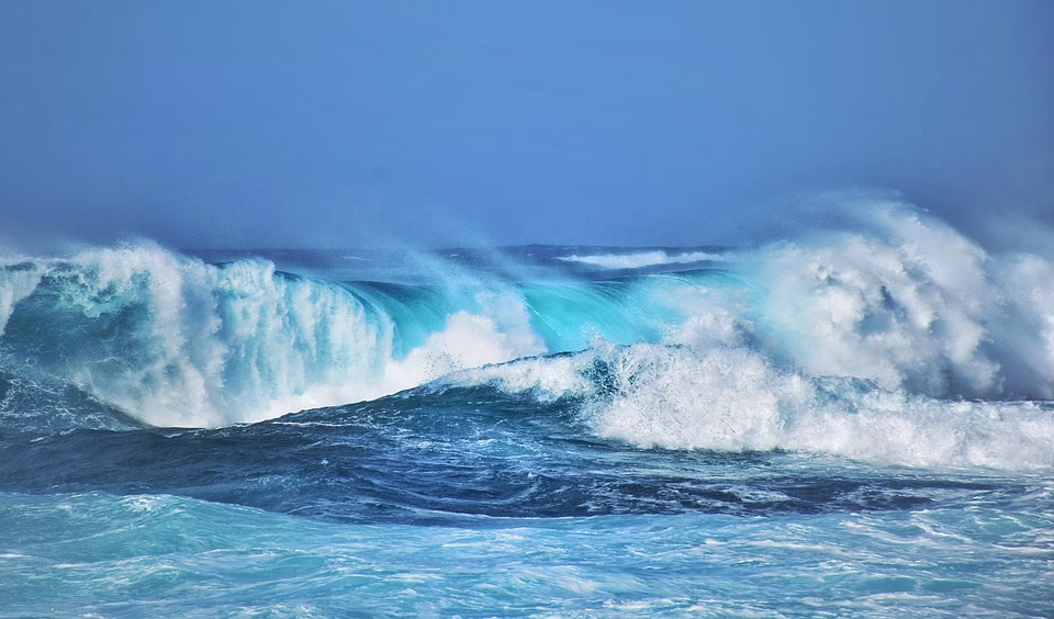 Wave Accounting Not Cutting It? Discover These 7 Reliable Alternatives Wave Accounting Not Cutting It? Discover These 7 Reliable Alternatives