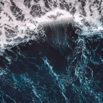 Wave Accounting Review 2025: Streamlining Finances for Small Businesses