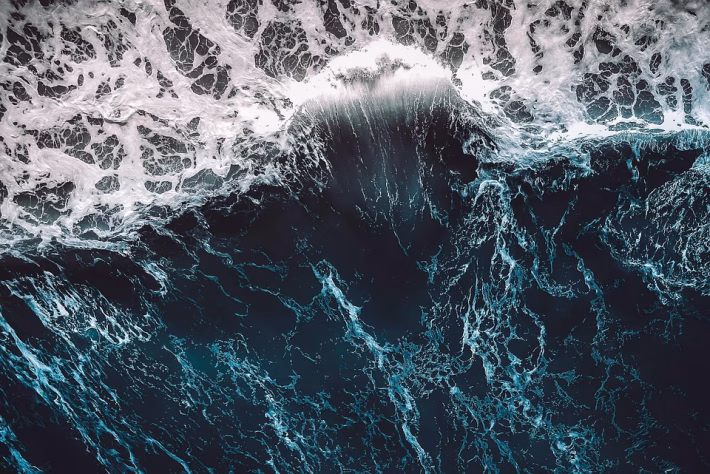 Wave Accounting Review 2025: Streamlining Finances for Small Businesses