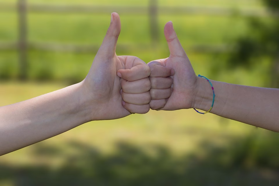 Work Together, Thrive Together: The Role of Synchronization in Team Dynamics