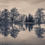 Navigating New Waters: What the [Company A] and [Company B] Deal Means for Consumers