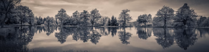 Navigating New Waters: What the [Company A] and [Company B] Deal Means for Consumers
