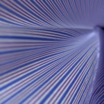 The Convergence of AI and Quantum Computing: What to Expect in 2025