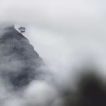 Remote Work Revolution: Technology Trends Reshaping the Workplace