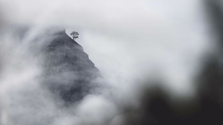 Remote Work Revolution: Technology Trends Reshaping the Workplace