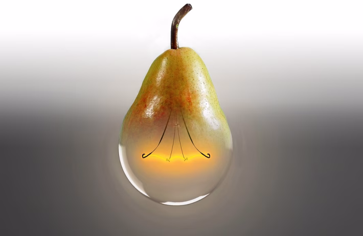 Is IntelliJ IDEA Worth the Investment? Breaking Down the Pricing Structure