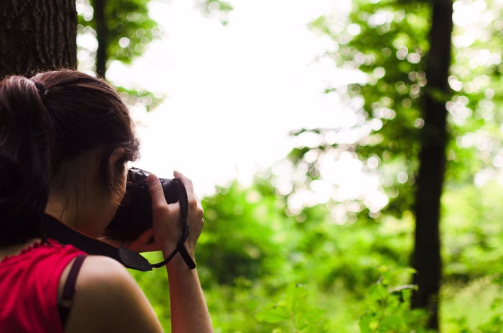 From Isolation to Collaboration: Creating a Successful Remote Work Culture
