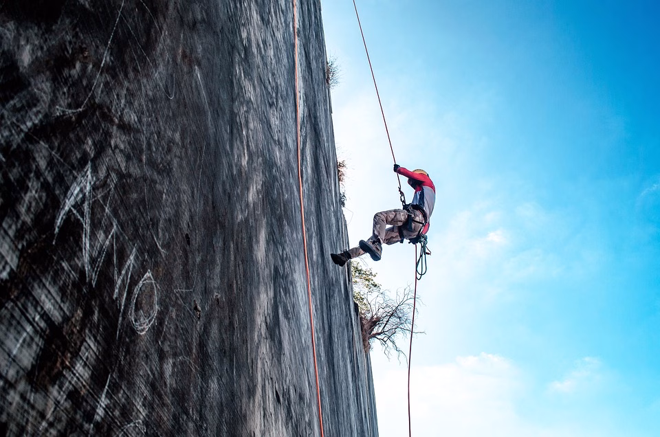 Navigating Challenges: Implementing Salesforce Automation Tools in Customer Support Teams