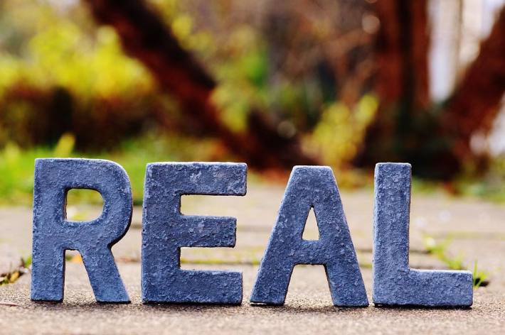 Tried and True: The Best Software Tools for Every Need