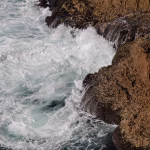Bouncing Back: Strategies for Building Business Resilience in Tough Times