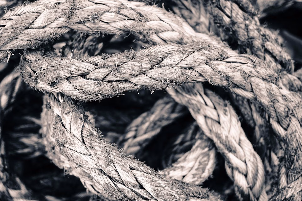 Strength in Unity: How the [Company A] & [Company B] Merger Will Transform Software Development