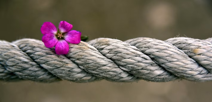 Connecting the Dots: Merging QR Codes with CRM for Smarter Customer Management