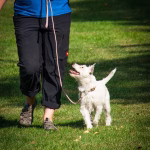 From Leads to Loyalty: Building Lasting Relationships with SugarCRM
