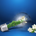 Sustainable Software: Innovations for an Eco-Friendly Digital Future in 2025