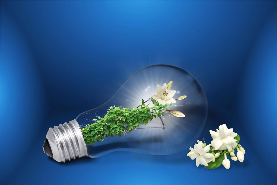 Sustainable Software: Innovations for an Eco-Friendly Digital Future in 2025