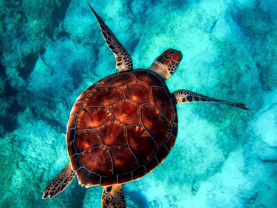 Diving Deep: How AI is Personalizing Customer Experience in Business