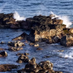 Navigating Notion’s Pricing Tiers: Find Your Perfect Fit