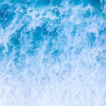 Is Wave Accounting the Best Free Option? Breaking Down Their Pricing Model