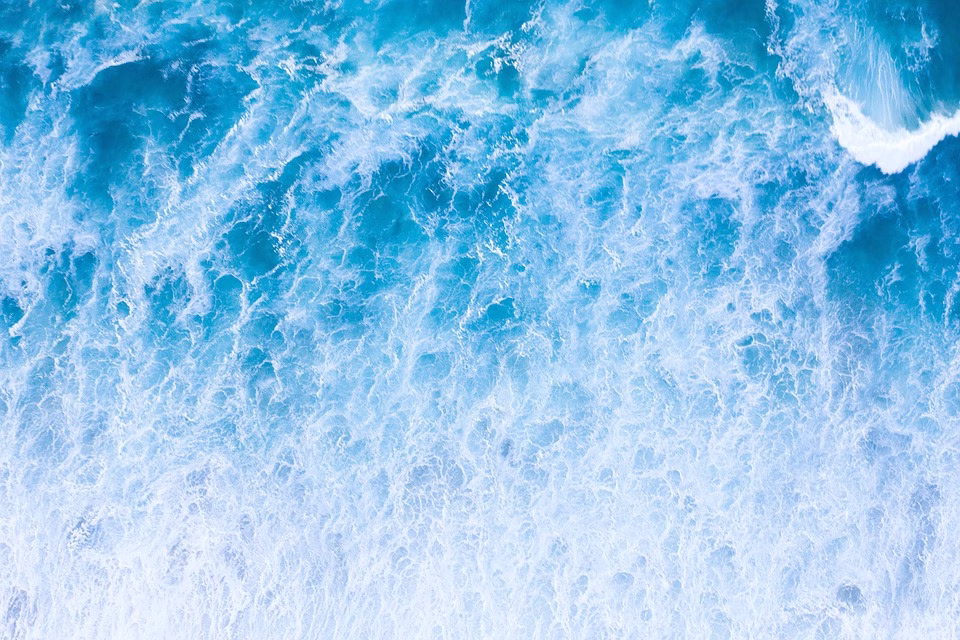 Is Wave Accounting the Best Free Option? Breaking Down Their Pricing Model