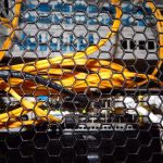 Data Security in Payroll: Why SaaS Systems Offer Peace of Mind