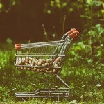 Venture Capital Outlook 2025: Predictions and Opportunities for Entrepreneurs