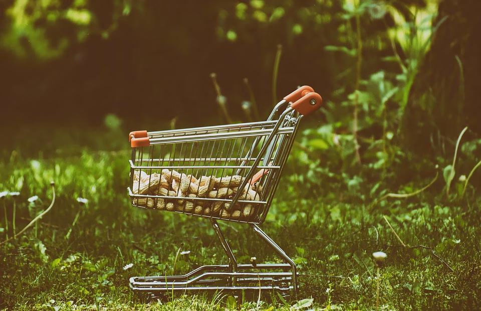 Venture Capital Outlook 2025: Predictions and Opportunities for Entrepreneurs