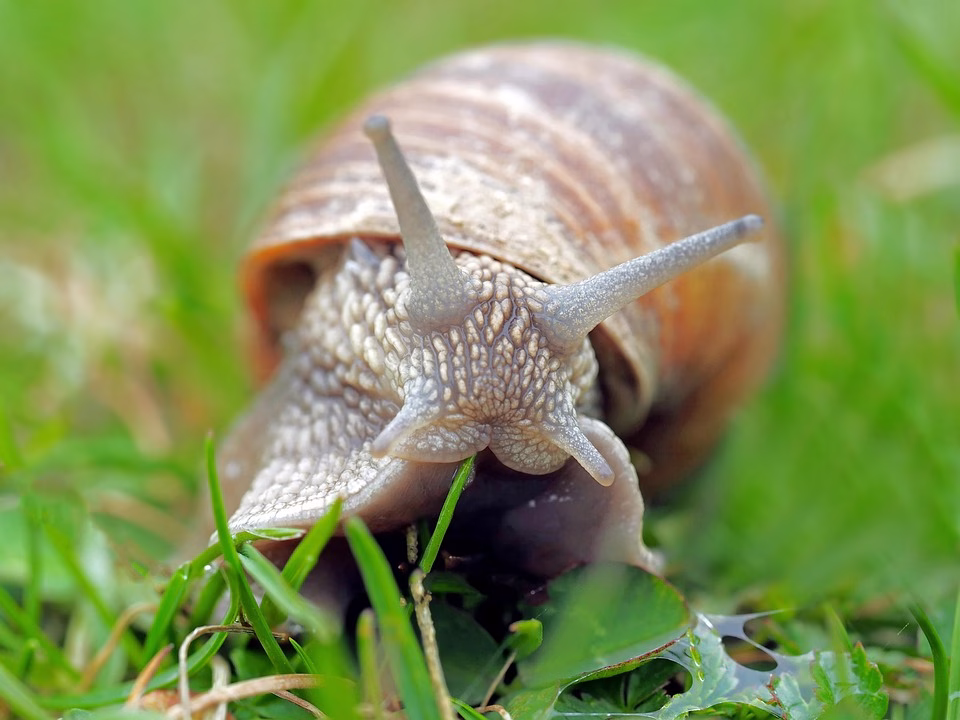 From Slow to Supercharged: Transform Your Server with These Optimization Techniques From Slow to Supercharged: Transform Your Server with These Optimization Techniques