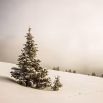 Transforming Remote Work: Leveraging Bitrix24 CRM for Collaboration