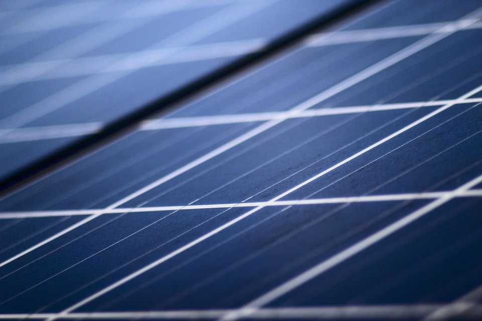 The Sustainability Factor: Eco-Friendly Pricing Models in Software Development The Sustainability Factor: Eco-Friendly Pricing Models in Software Development