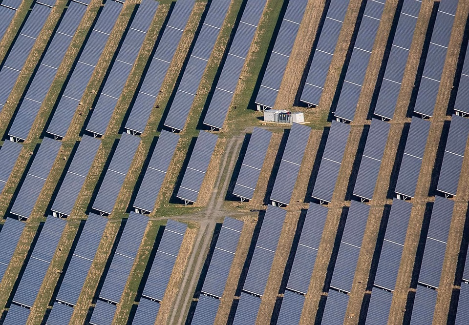 Sustainable Tech: The Eco-Friendly Software Innovations of 2025