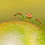 Going Green: Eco-Friendly Invoicing Solutions You Need to Consider