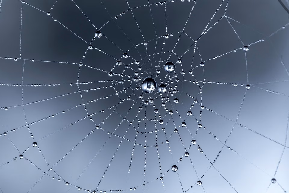 The Future of Web Design: Best Website Builders to Use in 2025 The Future of Web Design: Best Website Builders to Use in 2025
