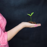 From Startups to Enterprises: 7 Unfailingly Reliable Software Tools