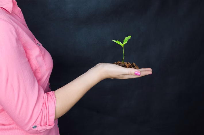 From Startups to Enterprises: 7 Unfailingly Reliable Software Tools