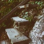 Success Stories: Lessons Learned from Successful SaaS Entrepreneurs