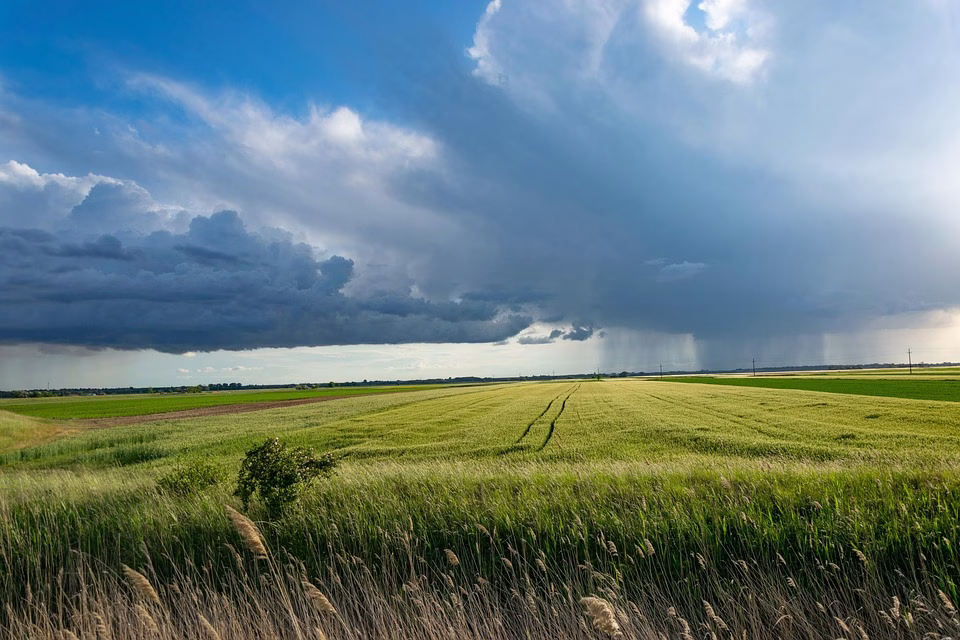Navigating the Storm: Essential Skills for Employees Dealing with Angry Customers Navigating the Storm: Essential Skills for Employees Dealing with Angry Customers