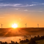 Sustainability Meets Tech: The Impact of Digital Transformation on Eco-Friendly Practices