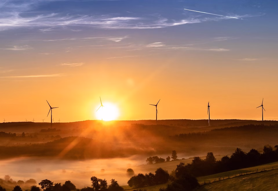 Sustainability Meets Tech: The Impact of Digital Transformation on Eco-Friendly Practices Sustainability Meets Tech: The Impact of Digital Transformation on Eco-Friendly Practices