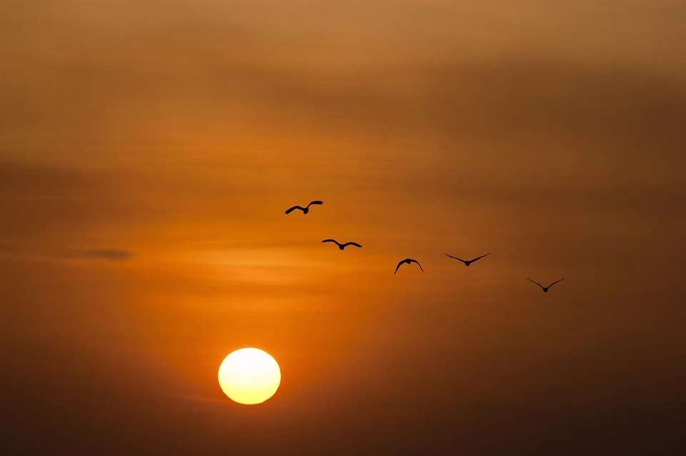 Setting Up for Success: A Beginner’s Guide to Using Plutio for Your Business