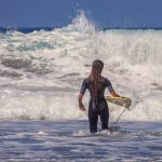 Wave Accounting 2025: What’s New in the World of Free Accounting Software?