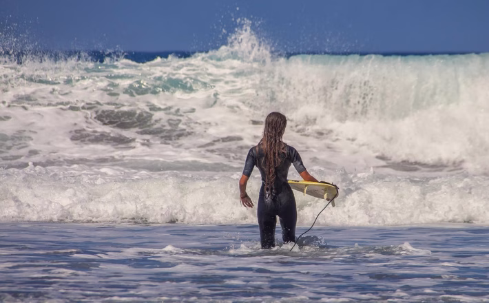 Wave Accounting 2025: What’s New in the World of Free Accounting Software?